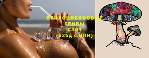 ECSTASY Корсаков