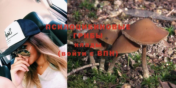 ECSTASY Корсаков