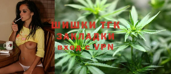 ПСИЛОЦИБИНОВЫЕ ГРИБЫ Костерёво