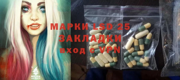 ПСИЛОЦИБИНОВЫЕ ГРИБЫ Костерёво