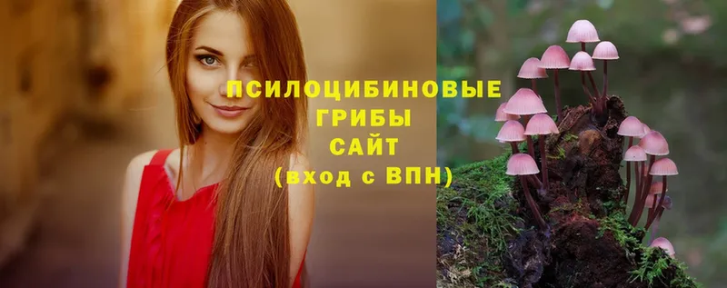 Псилоцибиновые грибы Psilocybe  Геленджик 